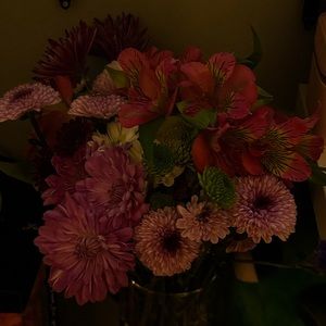 Meet your Posher, Nevaeh